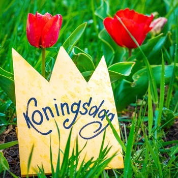 April 27, on Tuesday, there is a holiday - King's Day. The auction and the banks are closed! photo