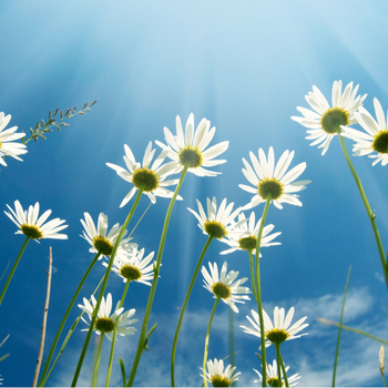 May 29, on Thursday, there is a holiday - Ascension Day. Foto