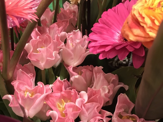 Flower arrangement with tulip Crown of Dynasty