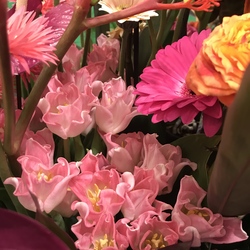 Flower arrangement with tulip Crown of Dynasty