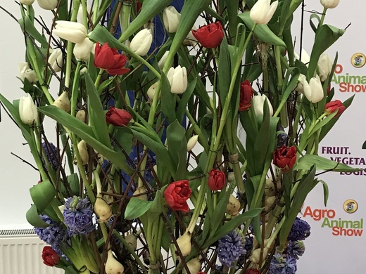 Flower arrangement with tulips