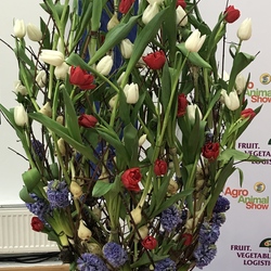 Flower arrangement with tulips