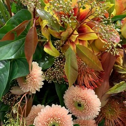 Flower arrangement with gerbera pomponi