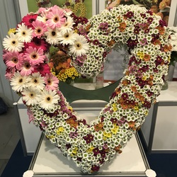 The heart with gerbera and madiba 